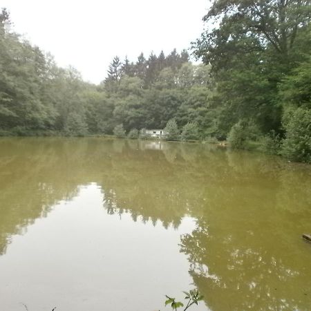 Gîte LE SOUS-BOIS Cerfontaine Extérieur photo
