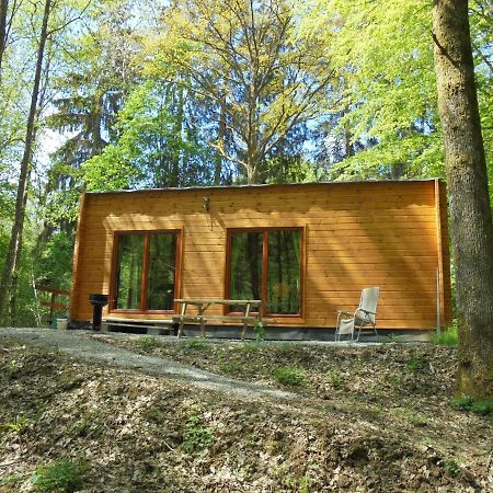 Gîte LE SOUS-BOIS Cerfontaine Extérieur photo