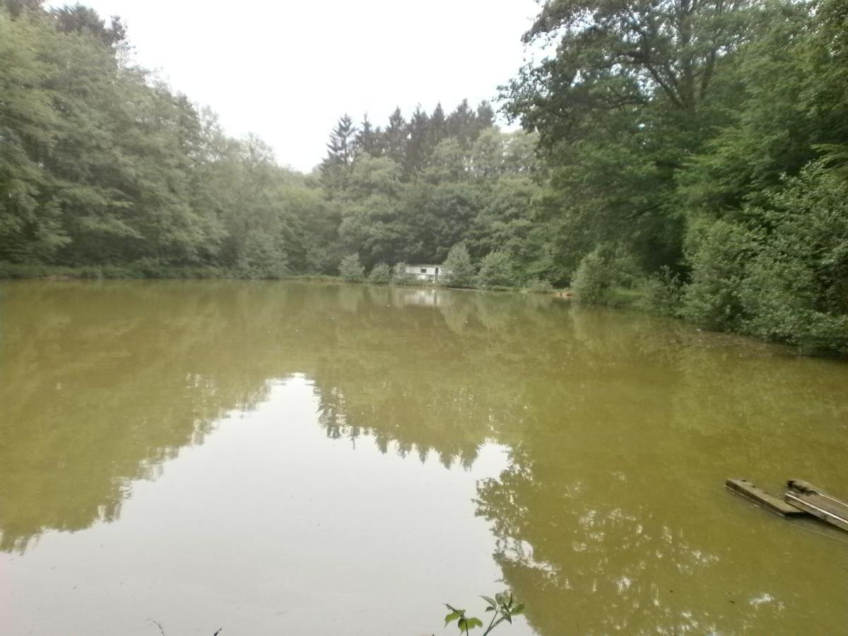 Gîte LE SOUS-BOIS Cerfontaine Extérieur photo