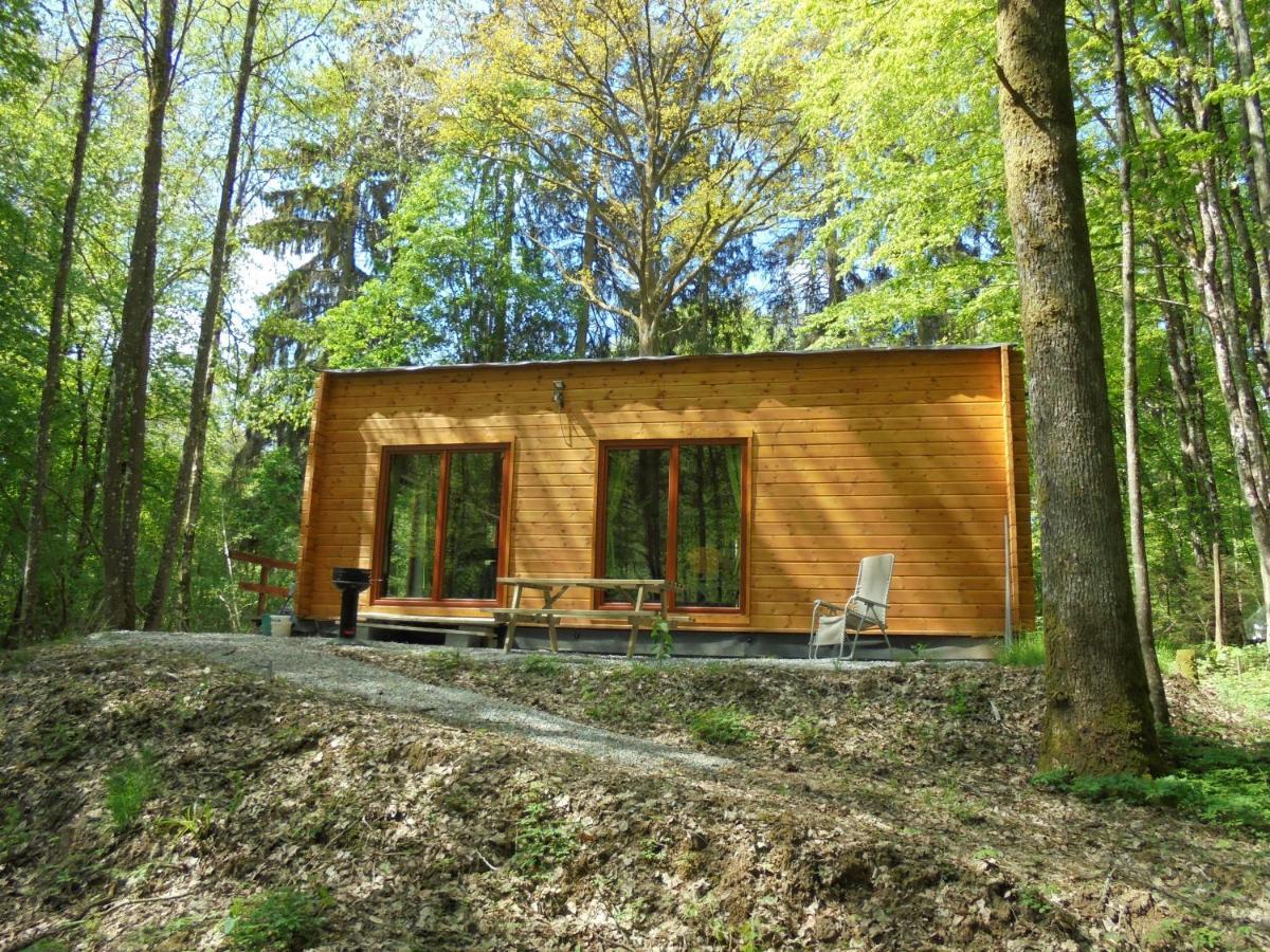 Gîte LE SOUS-BOIS Cerfontaine Extérieur photo